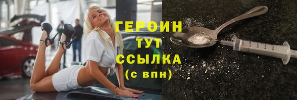 гашик Няндома