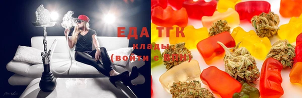 гашик Няндома