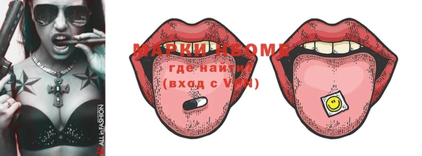 гашик Няндома