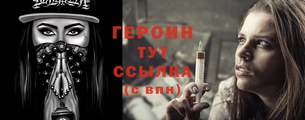гашик Няндома