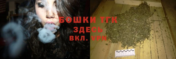гашик Няндома