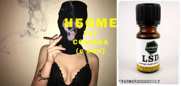 гашик Няндома