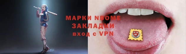гашик Няндома