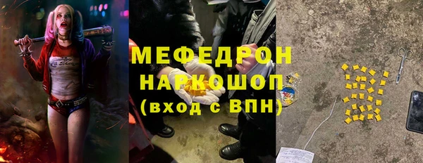 гашик Няндома