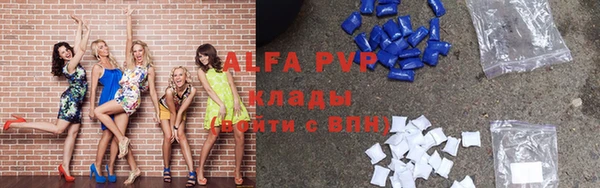 гашик Няндома