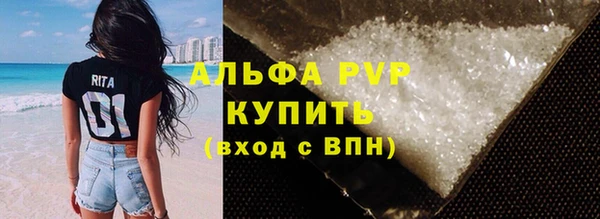 гашик Няндома